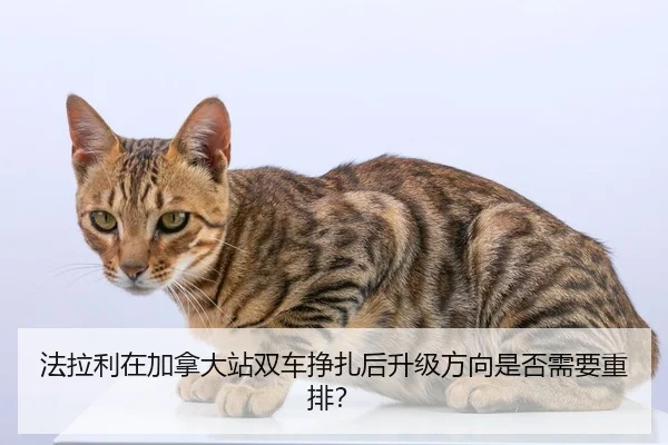 fa-la-li-zai-jia-na-da-zhan-shuang-che-zheng-zha-hou-sheng-ji-fang-xiang-shi-fou-xu-yao-zhong-pai-2-646.jpg