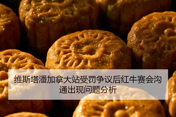 维斯塔潘加拿大站受罚争议后红牛赛会沟通出现问题分析