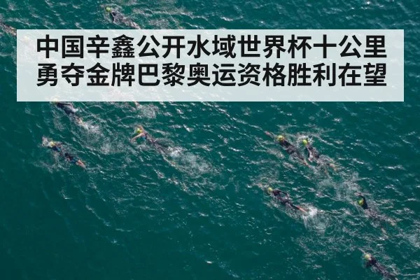 中国辛鑫公开水域世界杯十公里勇夺金牌巴黎奥运资格胜利在望