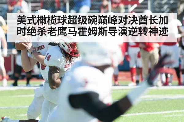 美式橄榄球超级碗巅峰对决酋长加时绝杀老鹰马霍姆斯导演逆转神迹